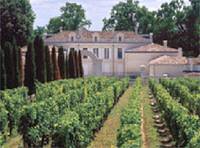 De Fronsac en Canon-Fronsac wijnen, goede stevige wijnen tegen een redelijke prijs