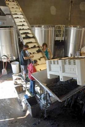 kneuzen en ontstelen van druiven voor de bereiding van wijn.Met een kneusmachine worden de stelen en bladeren verwijderd en worden de druiven gekneusd.